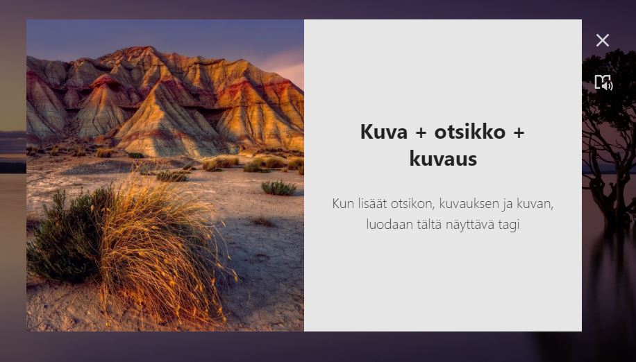 teksti___media_-_6.JPG